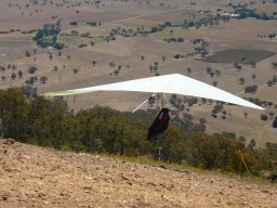 The Corryong Cup 2009